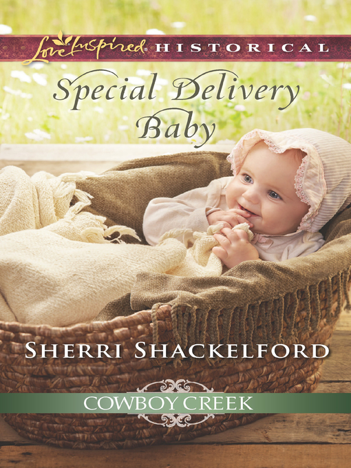 Cover image for Special Delivery Baby